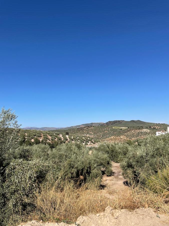 Lafrenchtouch - Relajate Y Desconecta Al Pueblo Villa Villanueva de Tapia Dış mekan fotoğraf